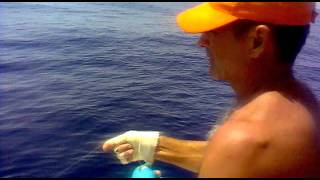 pesca al pesce spada di 50kg