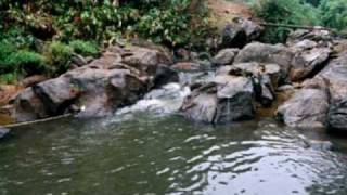 Flowing Hope-Dan Gibson