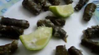 Arabic Vine Leaves Stuffed with Rice and Healthy Meat Galilee Recipe