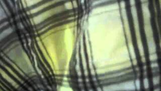 New fashion segment:plaid shirts!