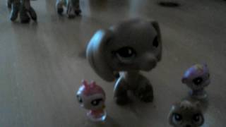 Carousel Lps MV