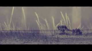 Тарховка Open Air \\ Кирилл Киселёв \\ 29.06.2014