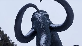 Югра многовековая. Цивилизация мамонтов. Часть вторая
