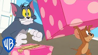 Tom & Jerry in italiano ???????? | La scatola misteriosa 