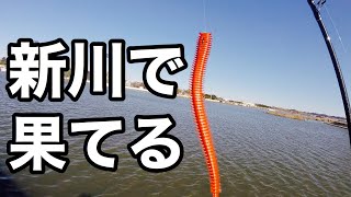 【1月霞ヶ浦/新川/土浦エリア】必殺マルキューワームで挑む新川釣行の結果やいかに！？#70