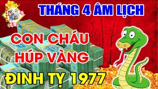Tiên Tri Chuẩn Xác, Tháng 4 ÂL Tuổi Ất Tỵ 1965 Gặp Mánh Trúng To, Bất Ngờ Tiền Bạc Tự Tìm Đến