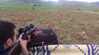 Cz 550 300 win mag.