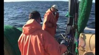 Lojfiske i Luleå skärgård 2009