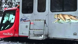 Great Northern Snowcat Skiing