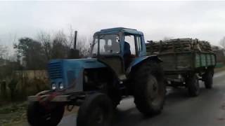 Везем дрова МТЗ 80