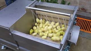 Машина мойки овощей щеточная (ММОЩ-300)
