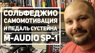 Сальфеджио в 36 лет или моя личная мотивация + педаль сустейна M-AUDIO SP-1