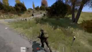 Dayz standalone max settings on a laptop