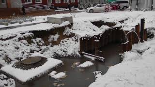 Женская консультация в луже фекалий.Брянск,Бежицкий район