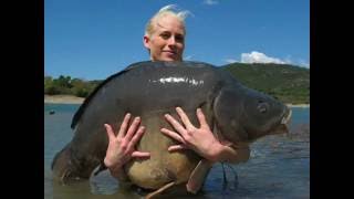 THOMAS BASTIEN IMPERIAL BAITS
