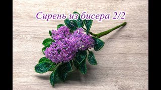 СИРЕНЬ из БИСЕРА - мастер-класс. Урок 2 - Цветы сирени и сборка композиции