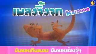 เพลงจิ้งจกคาราโอเกะ Lizard Song Karaoke เพลงเด็กน้อย
