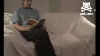 Dog demands a belly rub while man tries to read