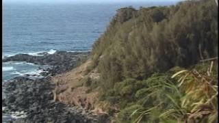 Discovery Channel   Extreme Surfing