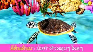 เพลงเต่ามันมีสี่ขา คาราโอเกะ (3D) การ์ตูนน่ารักๆ