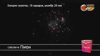 СЛ620016 Пион