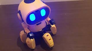 Demo of FOLO, the robot by ELEKIT