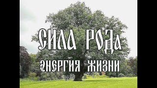 О чём поют дрозды....(Семейный фильм из рода Клюевых )