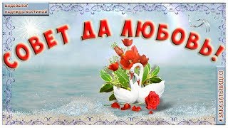 Свадебный футаж HD |  видеозаставка Совет да любовь!