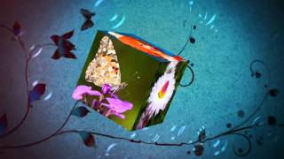 Test cube (Proshow Producer)