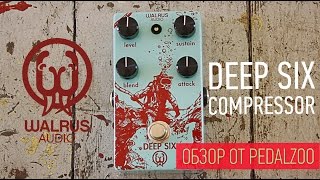 Walrus Audio Deep Six Compressor - Обзор Компрессора от PedalZoo