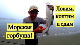 Морская горбуша! Ловим, коптим и едим