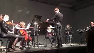 Ensemble "Synaesthesis" - Lithuania