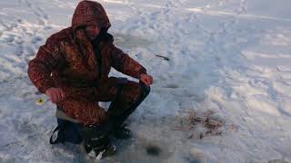 Народный самотряс 1 Можайка 22 01 2018 поздравление с НГ