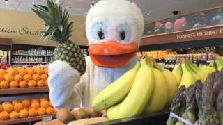 Anatalia, Duck from Siberia - Unhappy Love