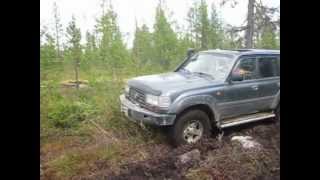 Топкое место TLC 80