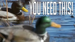 The Most Important Piece Of Duck Hunting Equipment