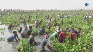 FISHING ADVENTURES in (DHAKA) BANGLADESH DOCUMENTARY