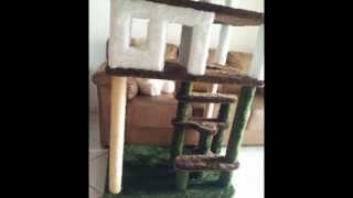 Casinha dos Gatos