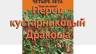 Перец кустарниковая Дракоша (drakosha drakosha) ? Дракоша обзор: как сажать, семена перца Дракоша