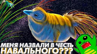 МЕЗОЗОЙСКИЕ ЦЫПЛЯТА | АЛЬВАРЕСЗАВРЫ - животные с самыми странными именами!
