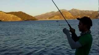 Silverwood Striper Drag Run Fishing!