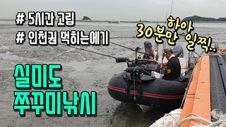 실미도 쭈꾸미낚시! 인천권 먹히는 에기색상은? 보트빵꾸나고 5시간 고립된사연?