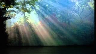 Musical FREEDOM - Hallelujah