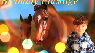 Birthday Breyer unboxing + как исправить кривые ноги лошади ?