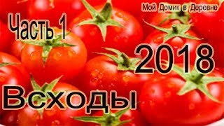 Рассада томатов 2018 (Часть 1)  Всходы на четвертый день!