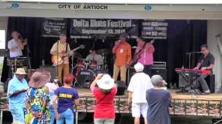 2014 Delta Blues Fest: Anthony Paule - Frank Bey Band