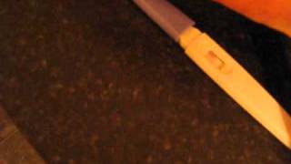 Pregnancy Test, 10 DPO