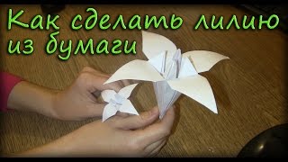 Как сделать лилию из бумаги