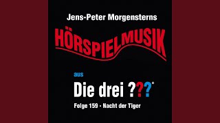 Die drei ??? - Hörspielmusik aus Folge 159 - Nacht der Tiger (Teil 3)