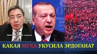 Какая муха укусила Эрдогана?